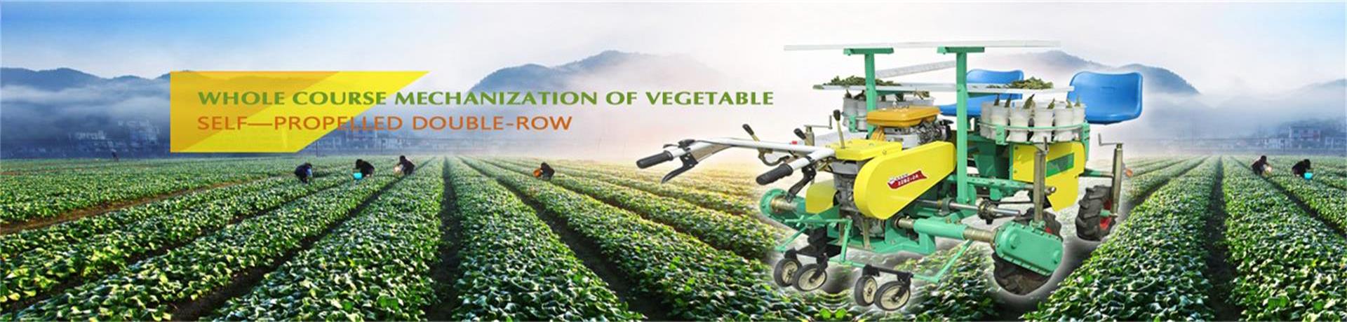 Whole Course Mechanization of Vegetable